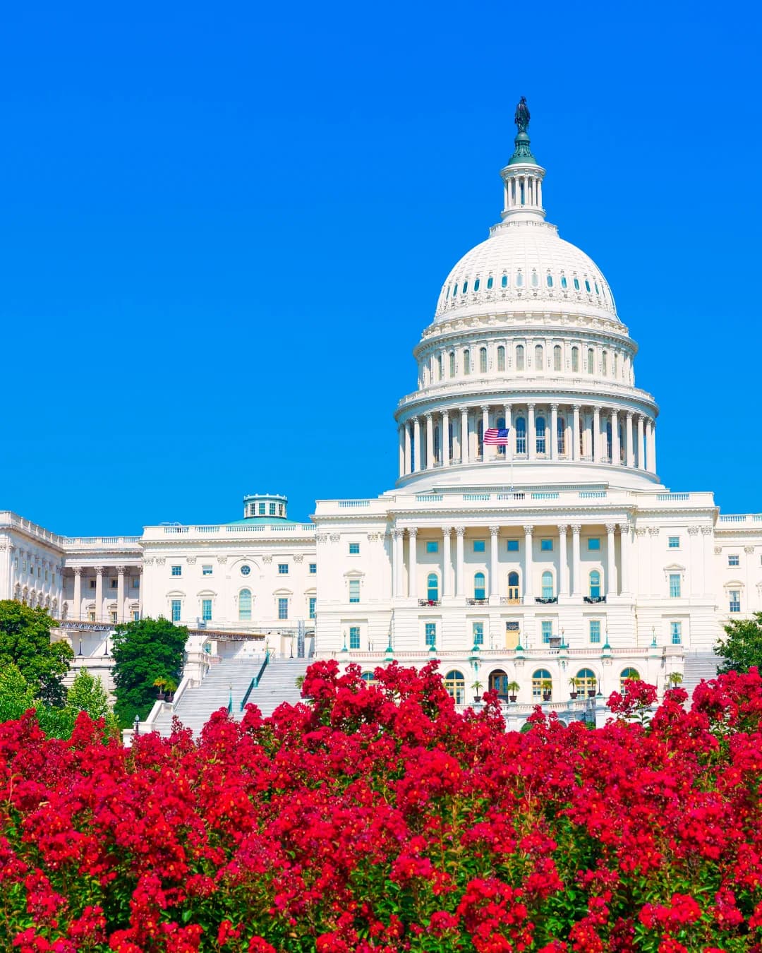 General Partner Carry Advisory