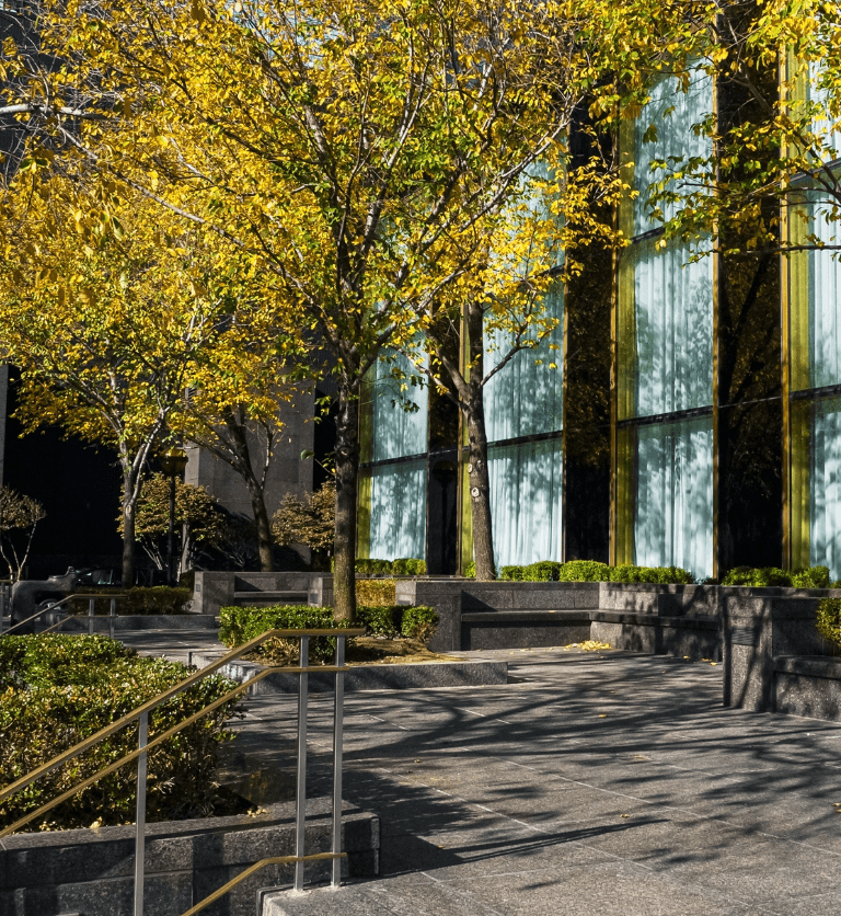 Luxury Retail Accountants